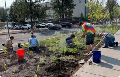 Community members getting involved with weeding the milkweed pollinator pathway