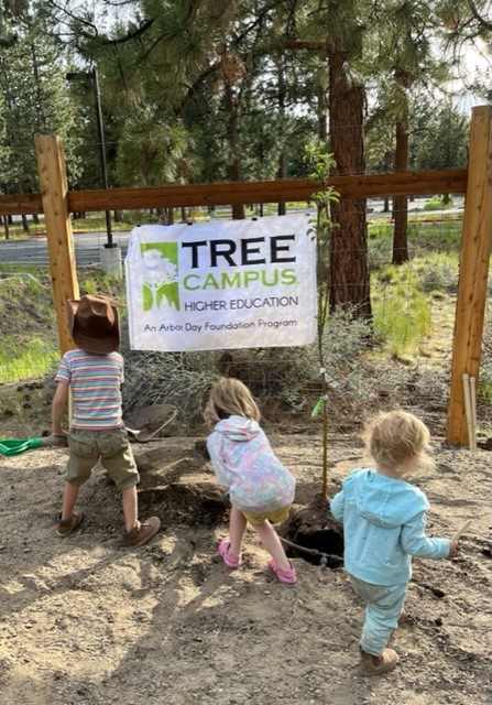 treeplantingcowboygals