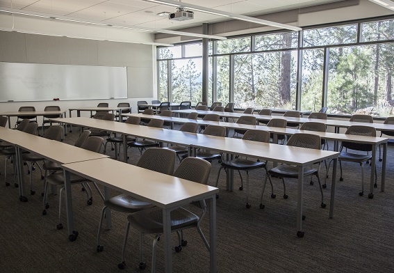 Middleton Science Center classroom with tree view