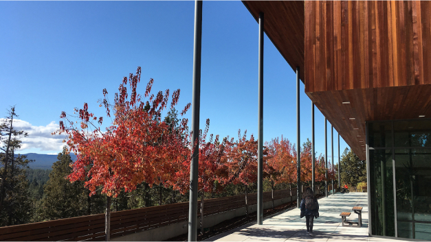 Trees changing to fall colors in front of the COCC Middleton Science Center