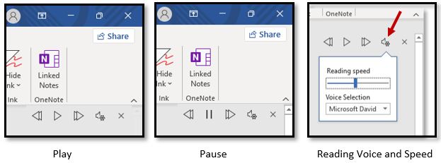 Screenshot of control panel. First box is labeled Play with control panel on play. Second box is labeled Pause, with control panel on pause. Third box is labeled Reading Voice and Speed, with Red arrow pointing at control panel speaker with setting gear symbol. 
