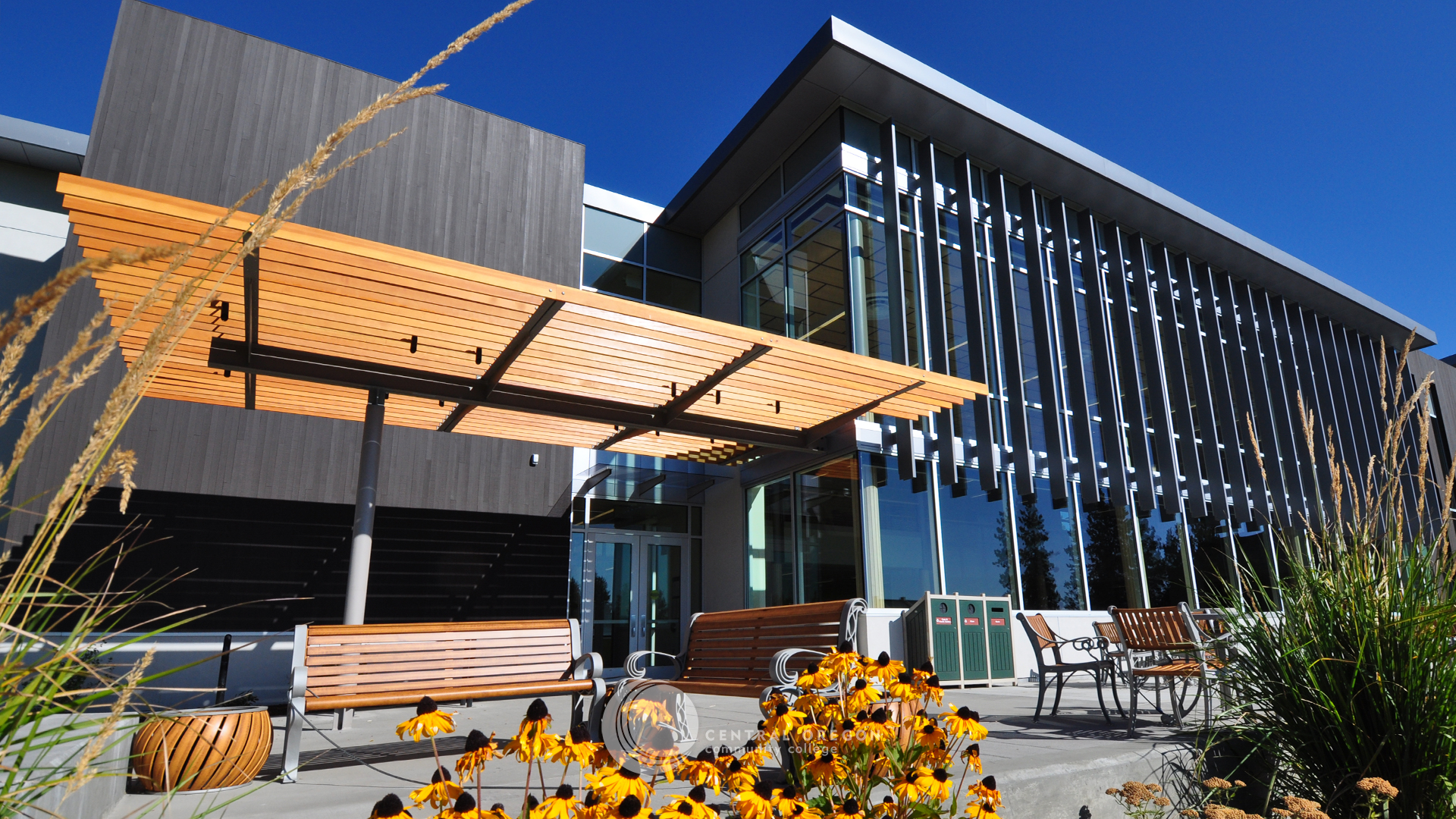 Zoom background - Campus Center Patio