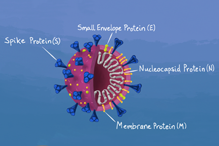 The Hunt for Microorganisms