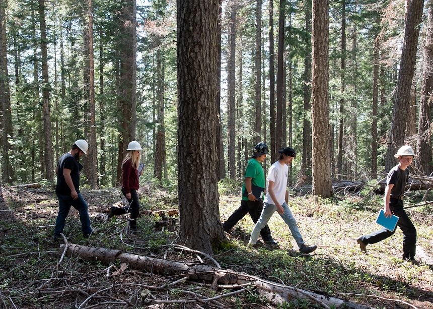 COCC Forestry program