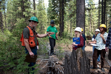 Forests, Fires and Futures