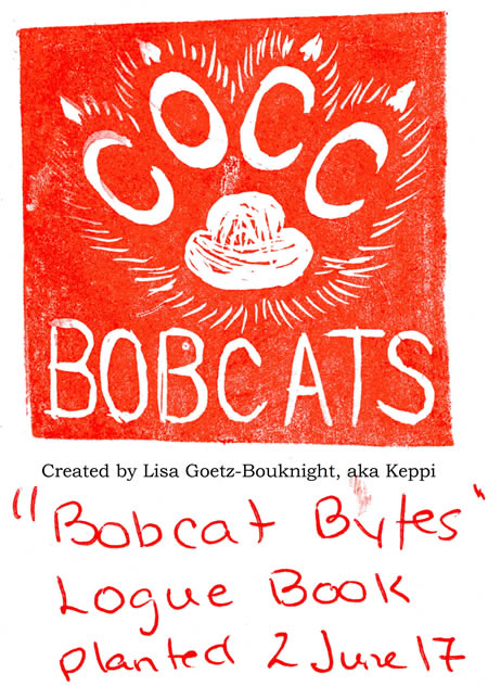 Letterbox Lisa Booknight
