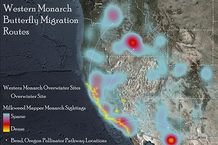 Monarch Migration