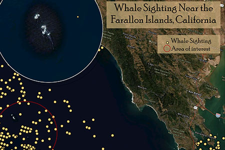 Whale Sightings