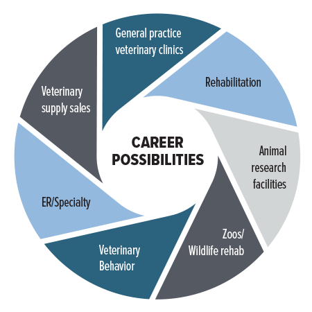 General practice veterinary clinics   Veterinary specialty, emergency, and university teaching hospitals   Animal research facilities   Zoos/wildlife rehab/marine mammal centers   Veterinary behavior   Rehabilitation   Veterinary supply sales   Diagnostic laboratories   Hospice care